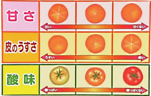 美味しいトマトの選び方